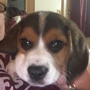 Meet your Posher, Mary